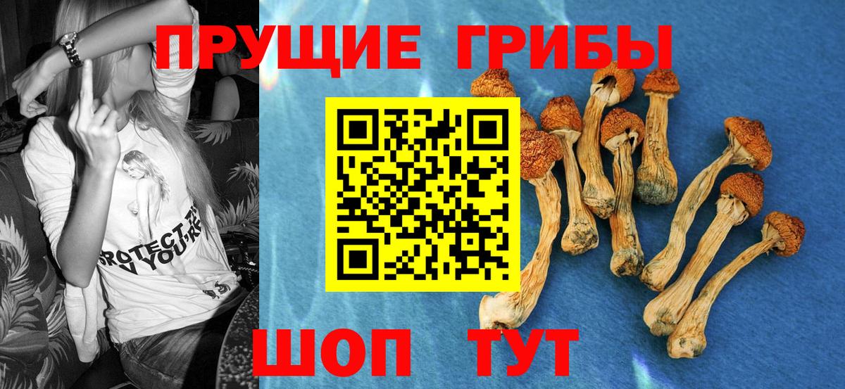 Псилоцибиновые грибы Cubensis Валуйки