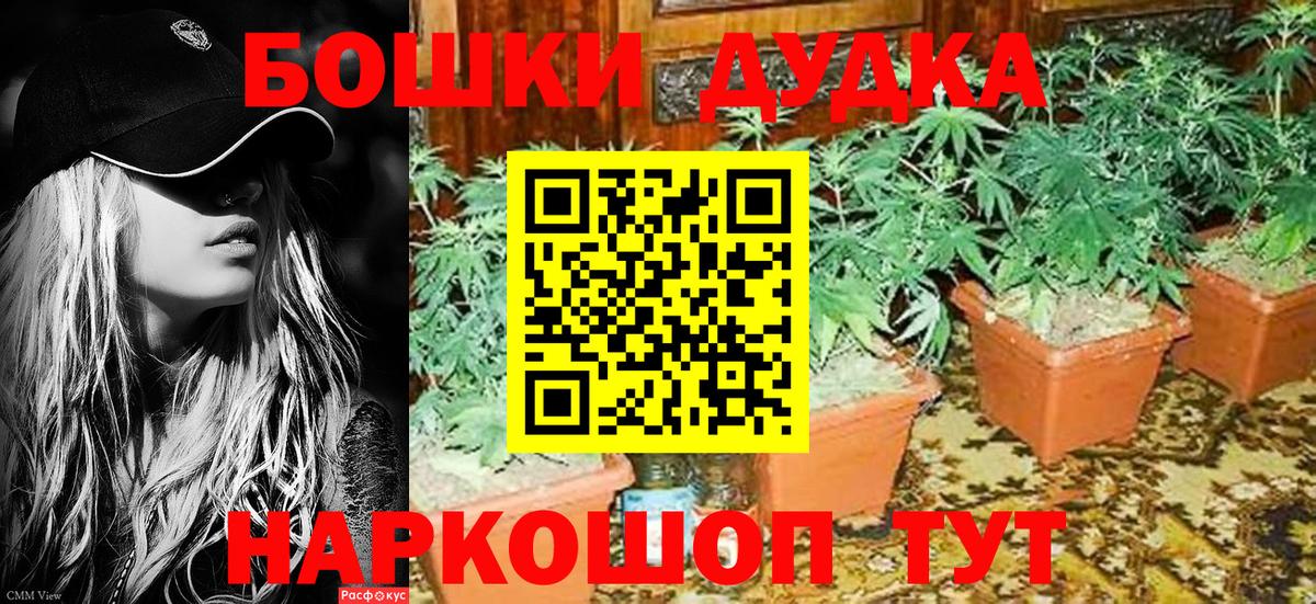 Валуйки  Шишки марихуана конопля  Шишки марихуана тримм  Вход с VPN  Бошки Шишки Bruce Banner 
